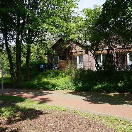 Hotel-Pension Am Böhmepark Soltau Exterior foto